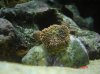 DSC03249.JPG