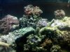 downsized_1021081626a.jpg