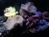 my tank.jpg