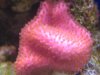 topdown 042_1_1.jpg