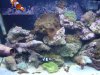 DSC02209.JPG
