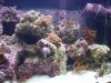 DSC02210.JPG