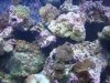 DSC02211.JPG