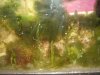 DSC03644.JPG