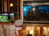 DSC03657.JPG