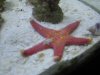 IMG_2496.jpg