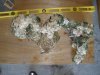 Rock_top_small.jpg