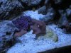 DSCN0351.JPG