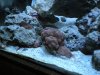 DSCN0353.JPG