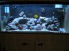 DSCN0355.JPG