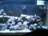 DSCN0356.JPG