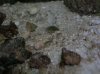 DSCN0355.JPG