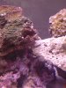 DSC00532.JPG