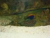 DSC02857.JPG