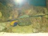 DSC02858.JPG