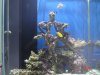 tank 009.jpg
