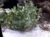 IMG00119.jpg