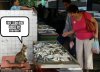 funny-pictures-cat-has-caught-these-fish-this-morning.jpg