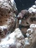 stuff in tank.jpg