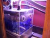 Refugium 001.jpg
