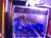 Refugium 002.jpg