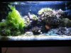 salt TANK 004.jpg