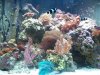 54g1.jpg