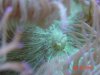 DSC02776.jpg