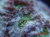 DSC02779.jpg