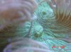 DSC02777.jpg