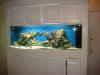 DSC00583.jpg