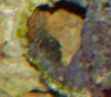 P1311081-z.jpg