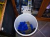 Refugium 005.jpg