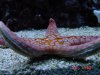 DSC02811.jpg