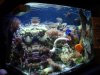 29gal.jpg