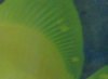 IMG00020-20090206-1327.jpg