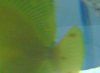 IMG00019-20090206-1327.jpg