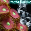 Avatar(PackLeader).jpg