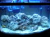 DSCN6023.jpg