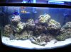 DSCN6165.jpg