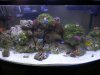 DSCN5561.jpg