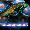 Avatar(Scenario1313).jpg