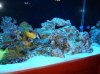 corys 053.jpg
