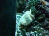 corys 049.jpg
