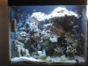clear MC dec2708 026.jpg
