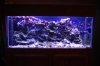 DSC_0796.jpg