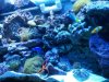 downsized_0206091255.jpg