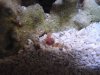 worm2.jpg