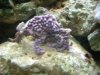 DSCF0143.JPG