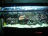 DSC03370.JPG